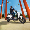 CUX PRO 50 cm³